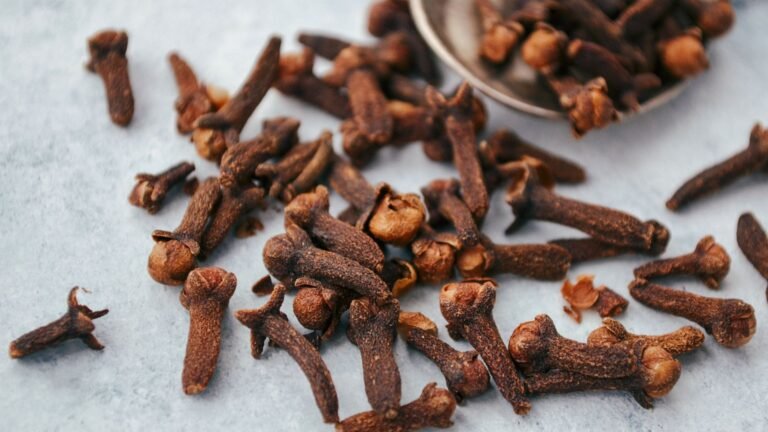 Le Girofle : Anti-inflammatoire et digestion