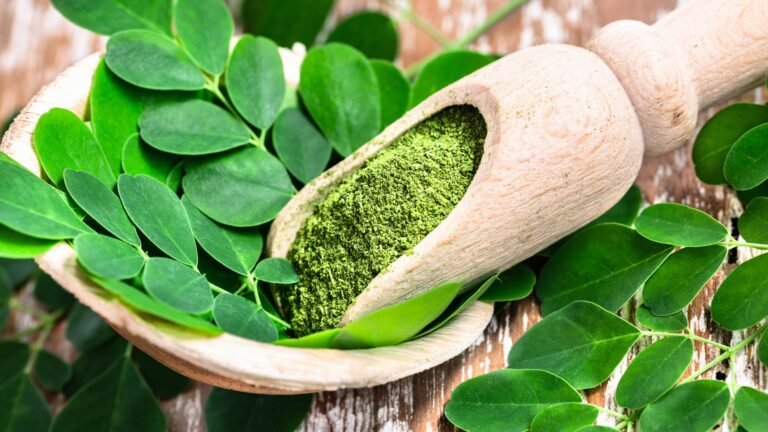 Le Moringa : Vitalité et nutrition